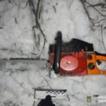 На Дніпропетровщині чоловіка судитимуть за незаконну вирубку дерев у заповіднику