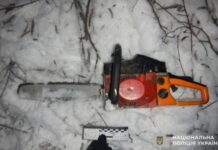 На Дніпропетровщині чоловіка судитимуть за незаконну вирубку дерев у заповіднику