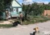 Життя за 15 кілометрів до лінії фронту: поліцейські «Білі янголи» закликають жителів Синельниківського району евакуюватися