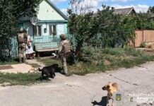 Життя за 15 кілометрів до лінії фронту: поліцейські «Білі янголи» закликають жителів Синельниківського району евакуюватися