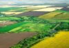 На Дніпропетровщині засудили посадовців міськради, які вимагали хабар за виділення землі