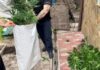 У Дніпрі поліцейські викрили два організовані наркоугрупування та повідомили про підозру 15 фігурантам