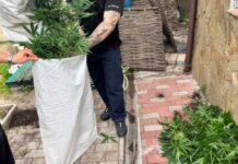 У Дніпрі поліцейські викрили два організовані наркоугрупування та повідомили про підозру 15 фігурантам