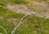 У Запорізькому районі чоловік отримав поранення через детонацію невідомого предмета