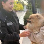 Хвилинка доброти: у Дніпрі патрульні повернули власниці песика, який загубився