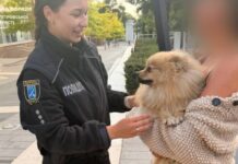 Хвилинка доброти: у Дніпрі патрульні повернули власниці песика, який загубився