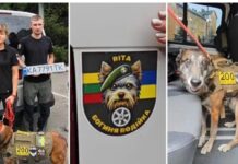 Пошуково-рятувальний загін «Антарєс» із Павлограда отримав спеціалізований автомобіль для службових собак