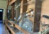 Пошкоджений російським ударом «Акваріум» у Дніпрі оголосив збір коштів на відновлення