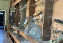 Пошкоджений російським ударом «Акваріум» у Дніпрі оголосив збір коштів на відновлення