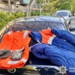 У Дніпрі викрили групу чоловіків, які обікрали локомотивне депо «Укрзалізниці»