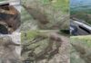 На Кам’янському водосховищі рибоохоронці виявили 75-метровий браконьєрський ятір