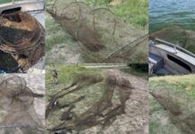 На Кам’янському водосховищі рибоохоронці виявили 75-метровий браконьєрський ятір