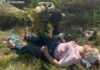 У Запорізькому районі водійка не впоралася з керуванням та врізалася у дерево