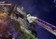 Запоріжжя: під час пожежі врятували літнього чоловіка та домашнього собаку