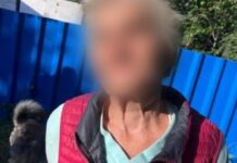 Попросила допомоги, бо загубилась: у Дніпрі патрульні повернули додому розгублену жінку