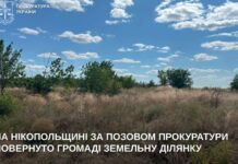 На Нікопольщині громаді повернули землю вартістю майже 4 млн грн