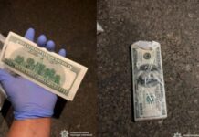 8 тисяч доларів за звільнення сина з полону: на Дніпропетровщині затримали 44-річного чоловіка за зловживання впливом