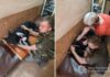 Під час ворожої атаки на Запоріжжі постраждала службова собака Фортуна