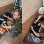 Під час ворожої атаки на Запоріжжі постраждала службова собака Фортуна