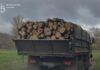 На Дніпропетровщині судитимуть «чорних лісорубів», які завдали державі майже 3 млн грн збитків