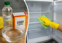 Чим помити холодильник, щоб прибрати запах: домашній розчин із двох інгредієнтів