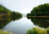 На Дніпропетровщині назвали водойми, де не радять купатися