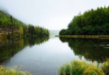 На Дніпропетровщині назвали водойми, де не радять купатися