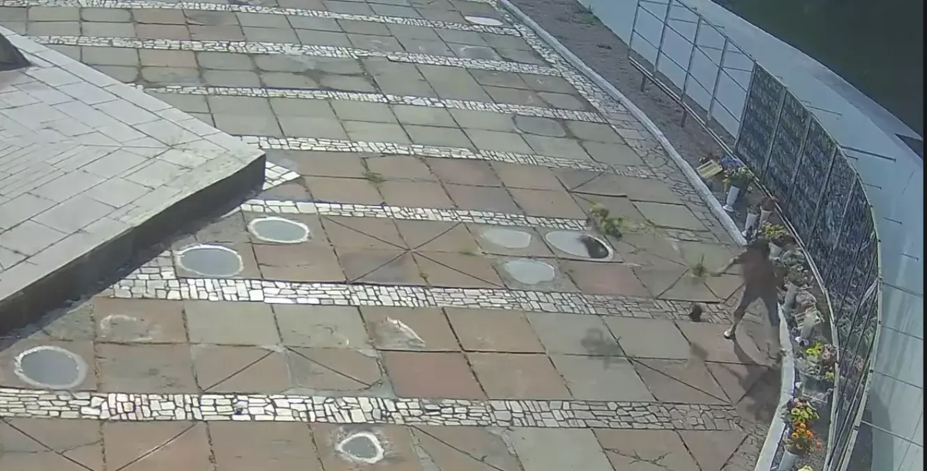 У Кам’янському встановили жінку, яка пошкодила стенди з портретами загиблих захисників