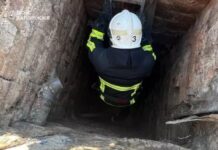 У Запоріжжі рятувальники витягли з чотириметрової ями двох котів