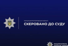У Самарі судитимуть чоловіка за систематичне домашнє насильство над матір’ю