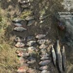Наловив риби на 102 тисячі гривень: водний патруль на Дніпропетровщині виявив рибалку-браконьєра