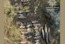 Наловив риби на 102 тисячі гривень: водний патруль на Дніпропетровщині виявив рибалку-браконьєра