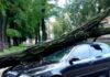 У Кам’янському через сильний вітер на автівку впало дерево