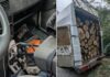 Небайдужі громадяни повідомили про спилювання дерев: у Кривому Розі затримали двох чоловіків