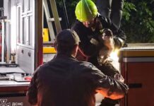 Запорізькі рятувальники допомогли трьом тваринам за добу