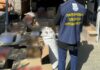 Мільйонні обороти на підакцизних тютюнових виробах: обвинувачуються троє жителів Запоріжжя