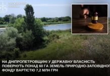 На Нікопольщині державі повернуть понад 60 га заповідної землі вартістю 7,2 млн грн
