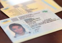 В Україні скасували вимогу про річний стаж для відкриття категорій BE, C1E та CE