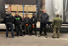Сховав трьох чоловіків серед пиломатеріалів: на Буковині прикордонники викрили спробу незаконної втечі з країни