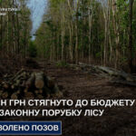 На Дніпропетровщині через незаконну вирубку лісу до бюджету стягнуть 4,8 млн грн