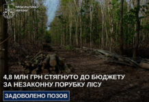 На Дніпропетровщині через незаконну вирубку лісу до бюджету стягнуть 4,8 млн грн