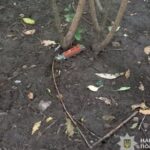 Криворізькі поліцейські затримали чоловіка, причетного до вбивства жінки