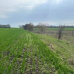 На Запоріжжі громаді повернуть 27 гектарів території заказника