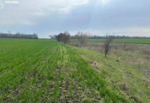 На Запоріжжі громаді повернуть 27 гектарів території заказника